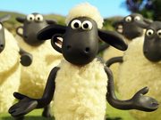 Баранчик Шон 4: Загони овечек домой